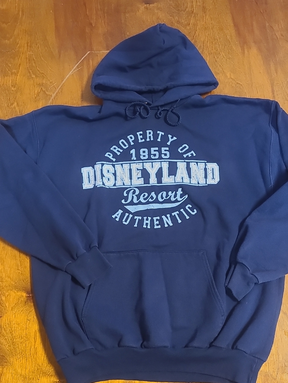 Disneyland Navy Blue Pullover Hoodie with Light Blue Graphic